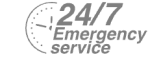 24/7 Emergency Service Pest Control in Greenford, UB6. Call Now! 020 8166 9746