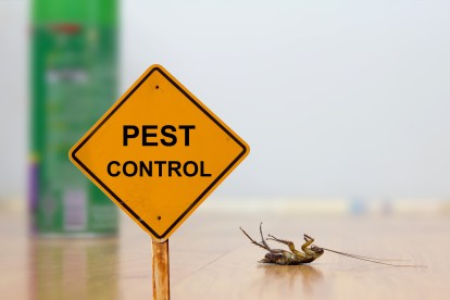Pest Contol in Greenford, UB6. Call Now 020 8166 9746